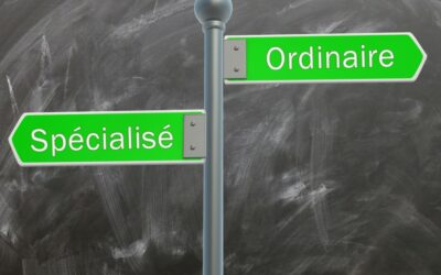 Les orientations abusives vers l’enseignement spécialisé  d’élèves ne présentant aucun handicap