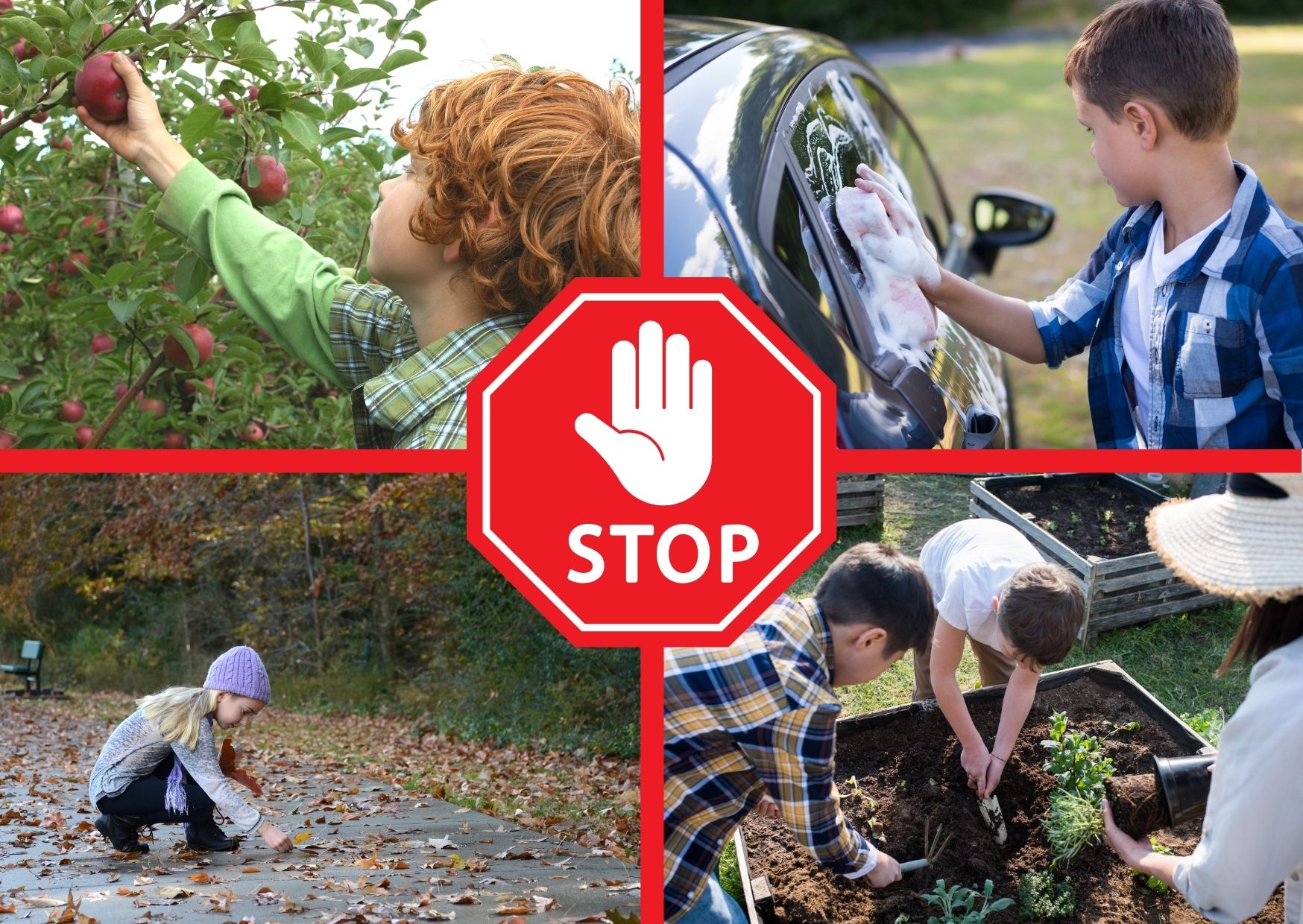 Communiqué de presse : non au travail des enfants dès 12 ans - Quatre photos : un enfant cueille des pommes, un autre lave une voiture, une autre ramasse des feuilles, des autres jardinent avec une adulte. Un panneau stop est à l'intersection